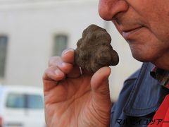 フランス一古くから始まったトリュフ市　カルパントラ