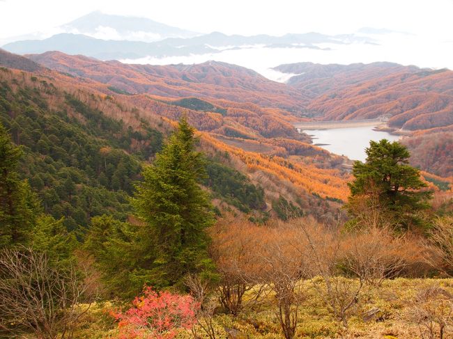 大菩薩嶺で紅葉ハントです。もっと短時間で歩くルートもありますが、今回は車を2台使い、上日川峠~石丸峠~大菩薩峠~大菩薩嶺~丸川峠~丸川峠ゲートを周遊しました。<br /><br />08:00 上日川峠 →<br />08:29 小屋平バス停(石丸峠入口) →<br />09:35 石丸峠 09:45 →<br />10:00 熊沢山 →<br />10:13 大菩薩峠 10:20 →<br />10:41 親不知ノ頭 →<br />10:47 賽の河原 →<br />11:00 神部岩 →<br />11:09 雷岩(昼食)11:47 →<br />11:58 大菩薩嶺 →<br />12:55 丸川荘13:07 →<br />14:30 裂石ゲート前駐車場