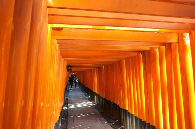 二条城のアートアクアリウムを見に行こう。そうだ、紅葉も！<br />ということで、日帰りで京都へ行ってきました。<br /><br />日帰り旅行でしたが、比較的アクセスの良いところを回ったので充実した一日となりました。<br /><br />まずは一度は行ってみたかった伏見稲荷大社へ。