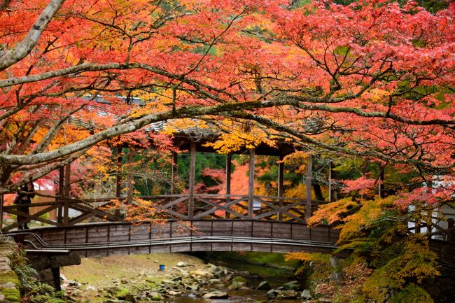 2014・紅葉彩る山陽道（広島県）をぶらりと巡る旅♪<br /><br />旅の２日目は少し早起きをして、三原駅前から路線バスに乗り、広島県でも指折りの紅葉の名所といわれている臨済宗佛通寺派の大本山である「佛通寺」を訪れてみることに。<br /><br />あたりを山に囲まれ、森閑としたお寺の境内を歩いてみると、木々の色付き具合もちょうど最盛期といった感じで、艶やかな紅や黄色に染まった木々と昔ながらの伽藍や石仏が一体となっている様は、まさに「紅葉の秋」に相応しい光景でした☆<br /><br />〔旅の行程〕<br />・三原駅 ～ 佛通寺 ～ 佛通寺開山堂 ～ 三原駅 ～ 三原城跡<br /><br />〔2014・紅葉彩る山陽道（広島県）をぶらりと巡る旅〕<br />・11月15日（１日目）午後：三原市/三景園<br />　～広島の空の玄関口に隣り合う日本庭園・三景園へ～<br />　　http://4travel.jp/travelogue/10953644<br />・16日（２日目）午前：三原市/佛通寺＆三原城跡（この旅行記）<br />・16日（２日目）午後：尾道市/生口島散策①<br />　～しまなみ海道に連なる「生口島」へ渡り、港町・瀬戸田を歩く①　耕三寺博物館編～<br />　　http://4travel.jp/travelogue/10957548<br />・16日（２日目）午後：尾道市/生口島散策②<br />　～しまなみ海道に連なる「生口島」へ渡り、港町・瀬戸田を歩く②　向上寺三重塔編～<br />　　http://4travel.jp/travelogue/10961016<br />・17日（３日目）：尾道市/尾道市街散策<br />　～歴史と文学の香り漂う風光明媚な港町・尾道へ～<br />　　http://4travel.jp/travelogue/10962428<br />・18日（４日目）午前：広島市/広島市街散策<br />　～水都・広島にそびえる「鯉城」へ…安芸国・広島城登城記 ＆ 市街に残る歴史遺産を訪う～<br />　　http://4travel.jp/travelogue/10963510<br /><br /><br />〔2013・「美しい瀬戸内」（広島周辺）をぶらりと巡る旅〕<br />・旅行記【１】～２つの記憶を追って…江田島・旧海軍兵学校＆音戸の瀬戸へ～<br />　http://4travel.jp/travelogue/10933206<br />・旅行記【２】～日本三景の地・宮島へ（嚴島神社トワイライト編）～<br />　http://4travel.jp/travelogue/10942301<br />・旅行記【３】～日本三景の地・宮島へ（紅葉に包まれる島内散策編）～<br />　http://4travel.jp/travelogue/10944463　 <br />・旅行記【４】～宮島信仰の聖地・弥山へ登る～<br />　http://4travel.jp/travelogue/10947709