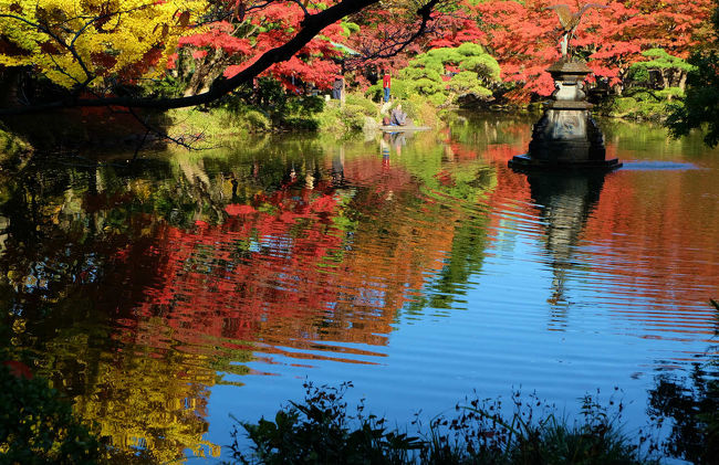 日比谷公園の秋で　最高の写欲をそそるのは　雲が池　紅葉　黄葉<br /><br />　此処だけで　一編　作成したいと思います、<br /><br />　　日比谷公園<br />http://www.tokyo-park.or.jp/park/format/index037.html