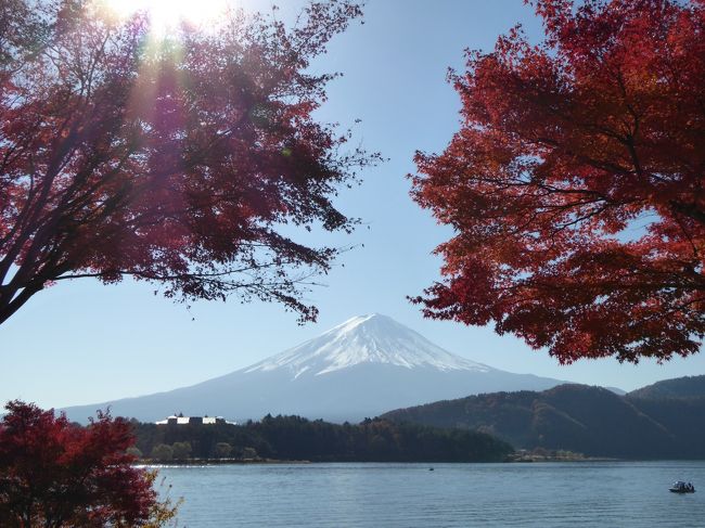 晩秋の伊豆と富士五湖の優雅な愛犬旅行♪　Ｖｏｌ１１（第３日目午前）　☆河口湖：赤いモミジと白い富士山の競演♪
