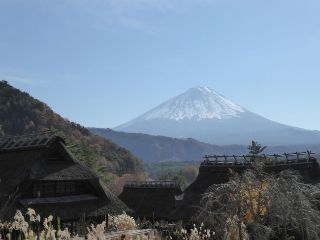 11月21日〜24日の3泊4日、伊豆と富士五湖へ愛犬と一緒に行きました♪<br />４日間天気に恵まれました。<br />存分に富士山を鑑賞できました♪<br />温泉やグルメを楽しんできました♪<br /><br />☆Ｖｏｌ１２：第３日目（１１月２３日昼）河口湖♪<br />河口湖から西湖へ♪<br />西湖には話題の「西湖いやしの里根場」。<br />５０年前に災害で消滅した茅葺集落を再現したもの。<br />素晴らしい茅葺が並び、美しい風景に感動♪<br />さらに富士山との風景も素晴らしく、<br />癒される光景。<br />ゆったりと集落を歩いて♪