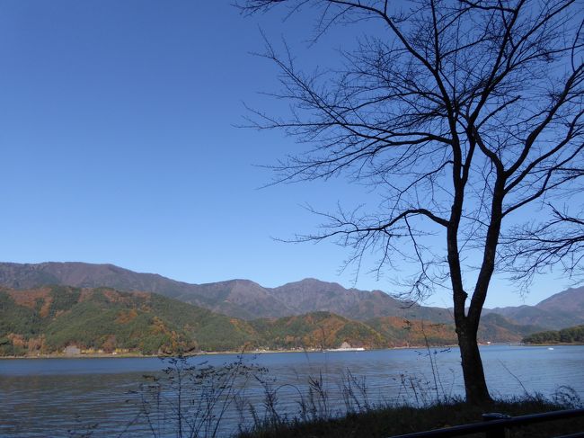 晩秋の伊豆と富士五湖の優雅な愛犬旅行♪　Ｖｏｌ１３（第３日目午後）　☆西湖からホテルへ♪美しい紅葉の河口湖を眺めて♪