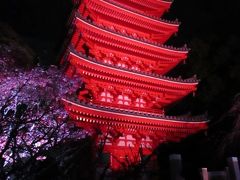 博多千年煌夜　ライトアップウォーク2014年　Vol　6　東長寺