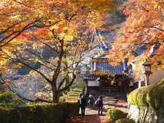 西国三十三所巡拝の旅　第７回（全10回）２泊３日　３−１　20番札所善峯寺　編