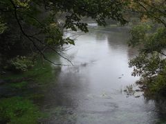 神秘の富士湧水、柿田川公園