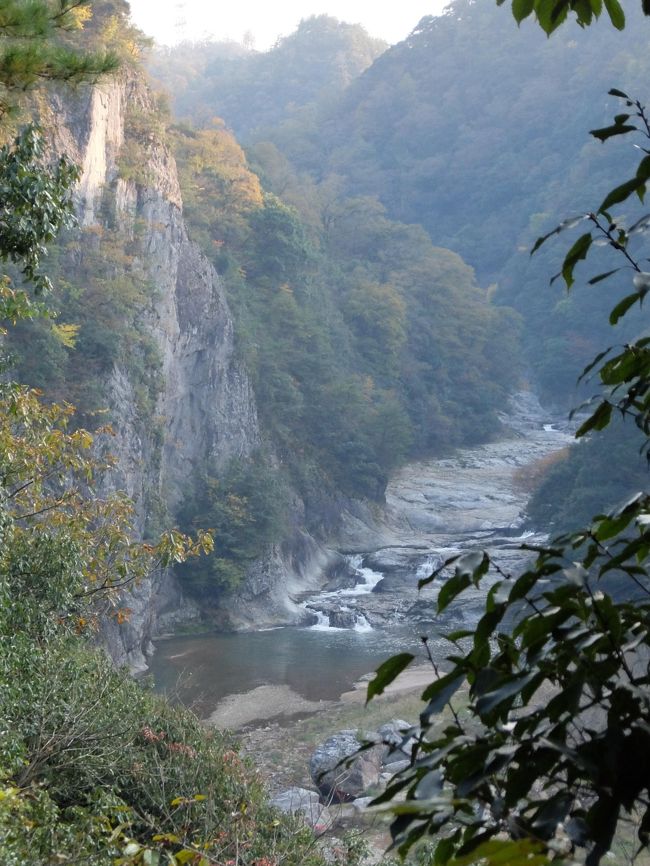 またも秋の有福温泉に、源泉流しの温泉と、美味しい料理に舌鼓を打つ。この10月11月は、いわみんの催しがあり、この近傍もいろいろと催しが、計画されている。宿泊先の有福温泉、ぬしやでは、紙芝居と燻製作りの企画が、話題を呼んでいた。<br />その日程では、残念ながら、マッチしなかったが、新鮮な魚を魚市場で買い、燻製作りを特別にやってみた。夜は家庭でできる燻製のつくり方で、土鍋で作る燻製を酒の魚にして、楽しんだ。翌日は、川本町などのJA回りや、断魚渓を回り自然の素晴らしさを楽しんだ。(写真は断魚渓の景色)
