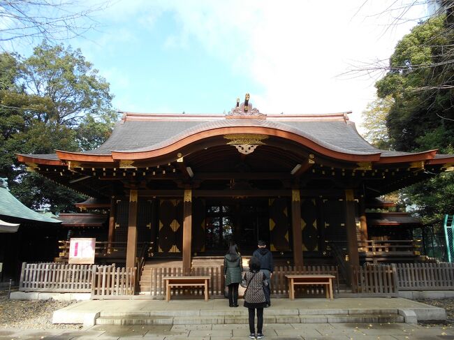 大宮氷川神社を総本社とする渋谷氷川神社（しぶやひかわじんじゃ、東京都渋谷区東）はＪＲ渋谷駅より東進、徒歩約１５分の高台にあり、渋谷区最古の神社となっています。<br /><br /><br /><br />東京神社庁ＨＰによれば次のような由緒が記載されています。<br /><br /><br />「かつて、当社は、下渋谷村と下豊沢の鎮守の森だったとされ、景行天皇の御代の皇子、日本武尊東征の時、当地に素盞嗚尊を勧請したことに始まるとされている。（「氷川大明神豊泉寺縁起」）。現在の社殿は昭和１３年１１月に氏子町内の寄付により総桧造。境内全域が渋谷区の保存樹林に指定されている。」<br /><br />また当境内には八幡神社、秋葉神社、厳島神社、稲荷神社の摂社あるいは末社があり、更に特筆すべきは江戸郊外三大相撲の一つ金王相撲の相撲場の跡が在ります。」<br />