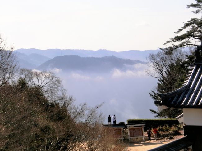 天空の城塞★現存天守・備中松山城★雲海＆紅葉！！