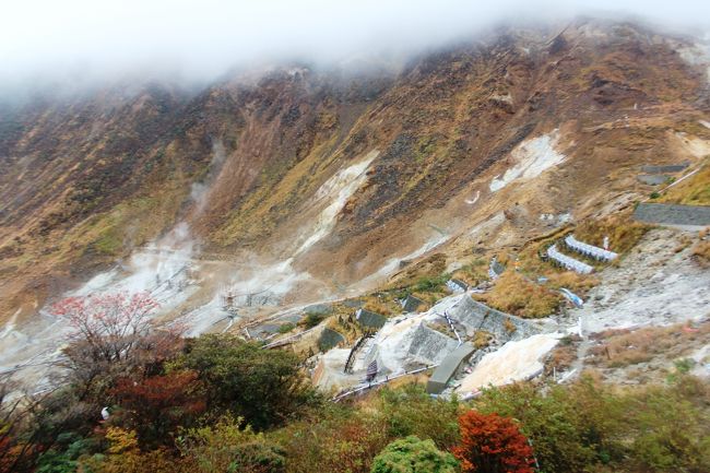 　紅葉の富士山とダイヤモンド富士とパール富士に合わせ、日程を計画したのですが、週間天気予報は台風が来ていて雨の予報で行くかどうか迷いましたが、行くことにしました。<br />　結果は、3日間のダイヤモンド富士は全滅でパール富士も叶わずでしたが紅葉と富士山はすばらしかった。<br /><br />日程<br /><br />1日目<br />　静岡sa　⇒　駿河湾沼津sa　<br /><br />2日目<br />　大観山　⇒　芦ノ湖　⇒　大涌谷　⇒　 長安寺　⇒　仙石原すすき草原　⇒　乙女峠　⇒　三国峠　⇒　山中湖長池　⇒　河口湖<br />3日目<br />　河口湖　⇒　忍野八海　⇒　二十曲峠　⇒　山中湖長池　<br />4日目<br />　富士吉田市歴史民俗博物館　⇒　紅葉台　⇒　 西湖いやしの里　⇒　 精進湖　⇒　本栖湖　⇒　田貫湖 <br />5日目<br />　 白糸の滝　⇒　大石寺　⇒　 浅間大社　⇒　龍厳橋<br /><br />　