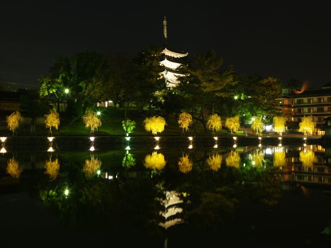 秋も深まる古の都奈良<br />歴史と文化そして数多くの文化遺産を求めて町を散策<br /><br />歴史が深く刻まれた寺院や神社、それらを引き立たせる赤や黄色の彩<br />とても素敵な奈良の一面を味わってきました。