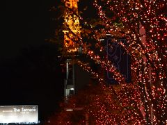 東京イルミネーション巡り　　明治学院～六本木ヒルズ ～東京タワー