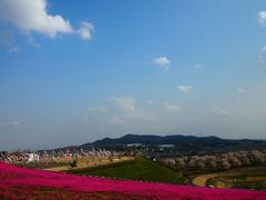 おおた芝桜まつり～♪