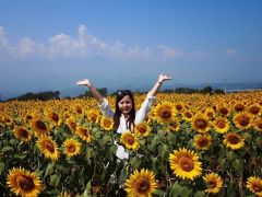 さく39の花日記③/夏の向日葵/山梨県富士吉田市/花の都公園