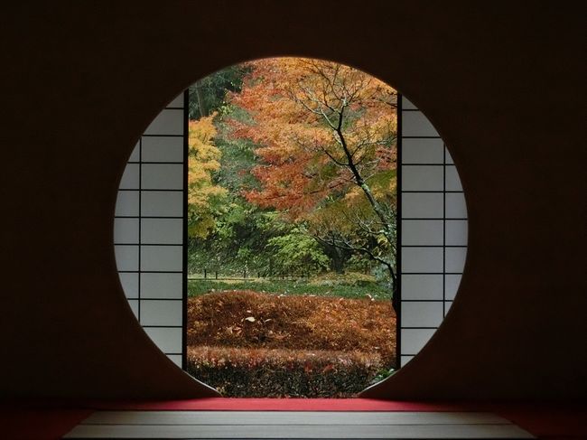 鎌倉宮、瑞泉寺、円覚寺、明月院、建長寺