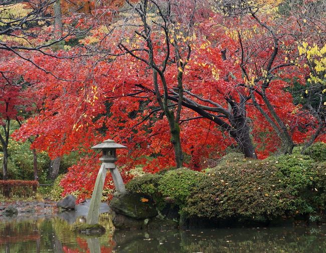 ケガの治療でしばらく静養していたが、東京広尾の病院へ行くため、気になる駅周辺を散歩してみた。<br /><br />広尾散歩通り〜瑞泉山祥雲寺〜有栖川宮記念公園〜広尾コンプレックス<br /><br />一ヶ月半ぶりに、カメラを持って歩いてみた。