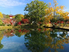 京都を歩く(215)　紅葉を訪ねて錦秋の嵐山・嵯峨野へ