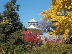 晩秋の京都・奈良・大阪を訪ねる（その３）大阪城