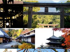 日本の神を覗く旅路・第1部記紀の神々続・晩秋の大和路（目次）