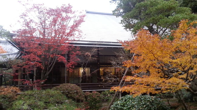 京都の永観堂、禅林寺に行ってきました！<br />11月最終週だったので、紅葉も散ってるかな……と思いきや！ギリギリセーフ(笑)<br /><br />総門をくぐると真っ赤な紅葉、オレンジや黄色、色んな色の紅葉がお出迎え！<br />１つの木でもグラデーションカラーがとても綺麗でしたよ(*^^*)<br /><br />みかえり阿弥陀様は優しく、そっとたたずんでいらっしゃいました。<br /><br />ホッコリ安らげる素敵な場所でした！
