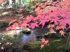 紅葉の金沢