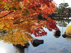国営昭和記念公園、紅葉最盛期の広い園内を散策