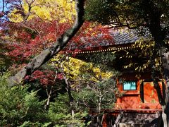 東京上野公園に紅葉を訪ねて