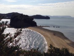 海と紅葉とオリーブと