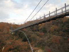 中国地方の紅葉狩り-09　奥出雲　鬼の舌震