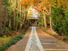 鎌倉　紅葉　2014[長谷寺、寿福寺、妙本寺]