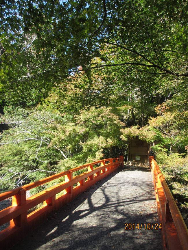 京都からは一人旅です。<br />京都に2泊して、初日は、三尾(高山寺、西明寺、神護寺)、鈴虫寺、愛宕念仏寺を訪れました。