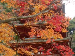 長谷寺へのミニオフ会。こんなに紅葉がきれいなんですね、長谷寺。