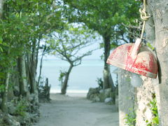 ボクの沖縄・・・自由気ままな一人旅（5/5）　備瀬フクギ並木集落にある古民家の宿・ちゃんや～で過ごした最高の時間！