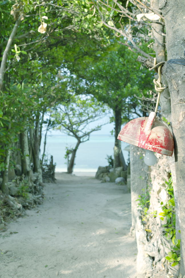 ボクの沖縄・・・自由気ままな一人旅（5/5）　備瀬フクギ並木集落にある古民家の宿・ちゃんや～で過ごした最高の時間！