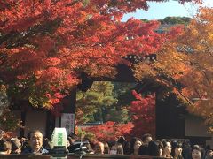 京都永観堂−紅葉の鮮やかさに息を飲む