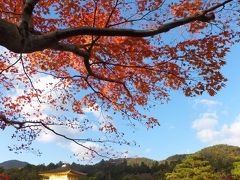 京都の嵐山方面に行ってきました　紅葉が綺麗でした　(^_^)v