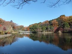 薬師池公園の紅葉