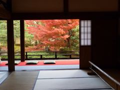 京都の紅葉も楽しんできました♪圓徳院、正伝永源院、両足院にて