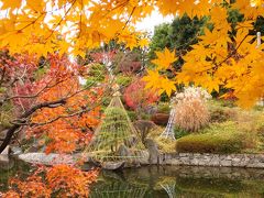 目白庭園の紅葉