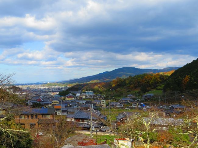 談山神社でブラブラし過ぎて、バスの発車時間に間に合わず<br /><br />１時間も待つならブラブラしながら歩く事に<br />県道３７号から寺川沿（国道１６６号）いを周りの風景を見ながら<br /><br />祟俊天皇陵・聖林寺・古墳・安倍文殊院では来年の干支「羊」が花壇に花で表現<br /><br />近くの土舞台も寄り桜井駅まで１２，８kmを約３時間少々かかりました<br /><br /><br /><br /><br />表紙　　　　　　　　　　　　　　　　　　　　桜井・三輪山方面を望む　　<br /><br />