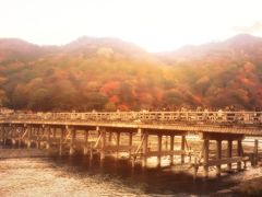 嵐山・宝厳院ライトアップ　京都の紅葉②　光明寺(長岡京)と嵐山