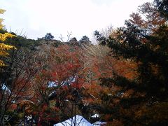 小松寺の紅葉