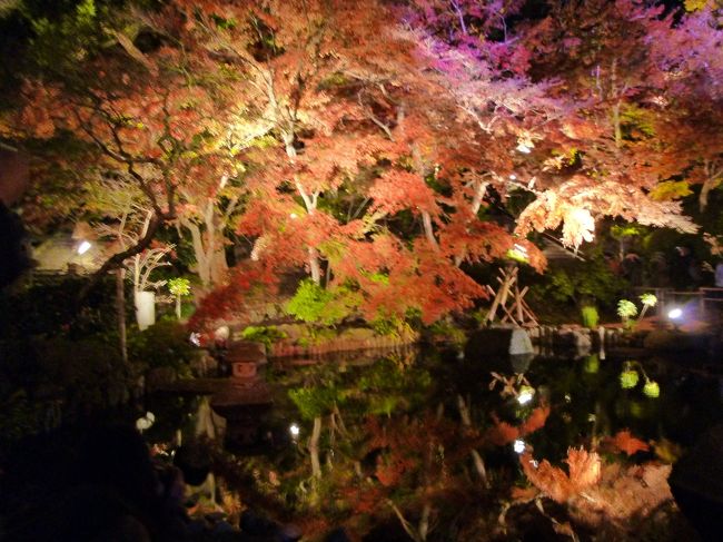 今年の紅葉狩りは箱根でおしまいのつもりでしたが、鎌倉の長谷寺でライトアップをしていると聞いたのでどんなものかと行ってきました。<br /><br /><br />今年は12月7日(日)まで開催されています。