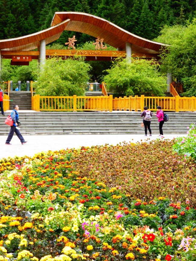四川省を巡った今回の中国旅。<br /><br />九寨溝に続いては、これまた世界遺産の黄龍を訪れました。<br />石灰華段丘を見たかったのです。<br /><br />九寨溝も遠かったけど、黄龍は更に人里離れた僻地でした。<br />標高3千5百メートルの高地で、高山病に悩まされる人も居るというので、まずは九寨溝で肩慣らしをしてから黄龍という順番にしました。<br /><br /><br />今回のルートは、九寨溝 → 黄龍 → 雅安 → 成都。<br />九寨溝編はこちら→ http://4travel.jp/travelogue/10957142<br />雅安のパンダ飼育員体験編はこちら→ http://4travel.jp/travelogue/10959043<br />成都編はこちら→ http://4travel.jp/travelogue/10961075