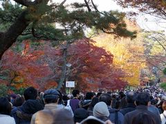 皇居の紅葉　一般公開２０１４