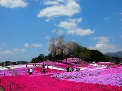 花の時期の高崎へドライブ＝3