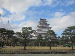 水田で羽を休める白鳥を見てきました。そして鶴ヶ城も冬支度です～雪吊り作業中でした。今年最後に見る鶴ヶ城は清楚な佇まいでした。