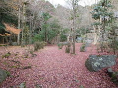 寒い京都の落葉めぐり！2014年