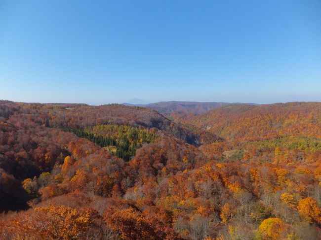 2014年10月23日　　9日目　（木）　晴れ<br /><br />ホテルを7時30分に出て国道103号、八甲田十和田ゴールドライン〜<br /><br />八甲田ロープウエイ〜散策〜八甲田ロープウエイ〜城ヶ倉大橋〜<br /><br />津軽伝統工芸館〜弘前公園〜岩木山神社〜弘前東のホテルに宿泊<br /><br />今日の走行距離　　105?<br /><br />今日の歩行数　　10,898歩　　良く歩きました。